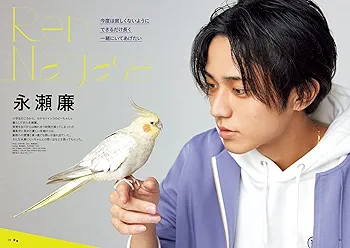 永瀬廉 ジオラマ セット 61Pqw5vJwbL._AC_UL210_SR210,